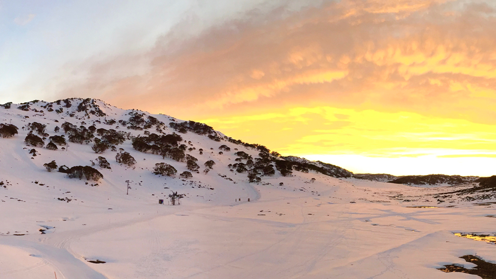 Ski fit for powder turns